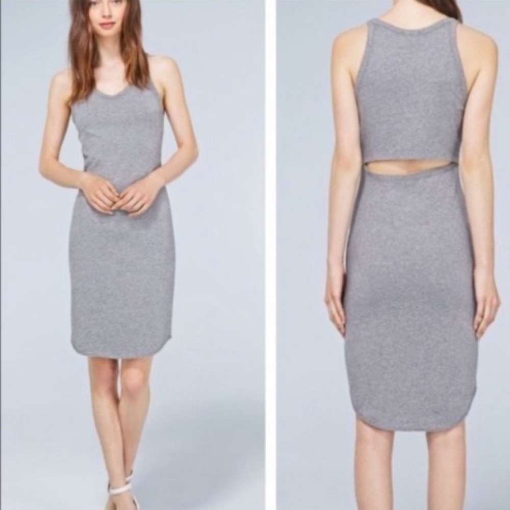 Aritzia Wilfred Free Yasmin Dress